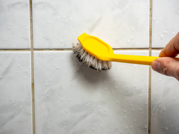 Best Commercial Mold Removal  in St Louis, MO