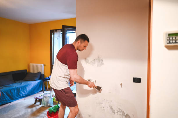 Home Mold Removal in St Louis, MO